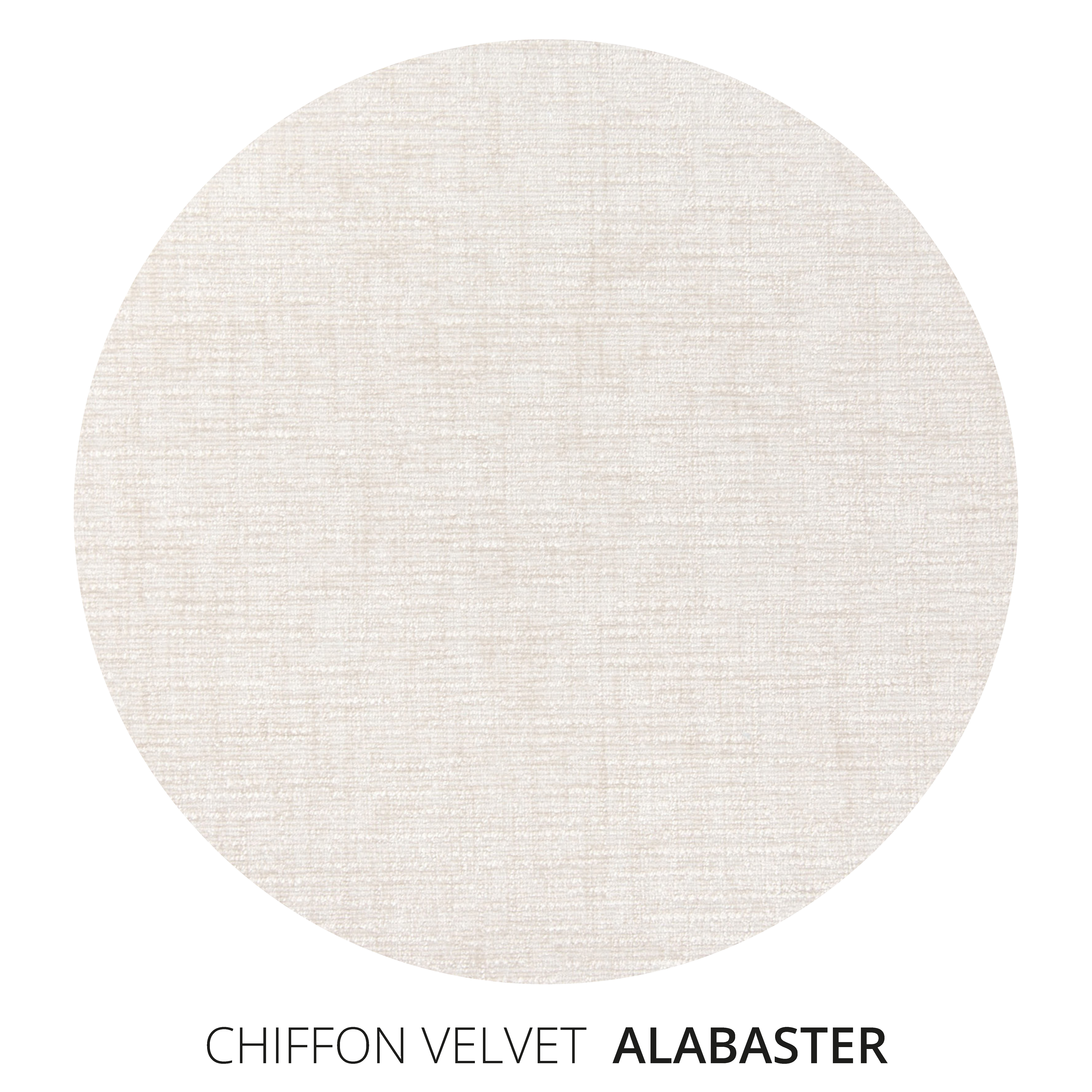 Alabaster Chiffon Velvet Swatch