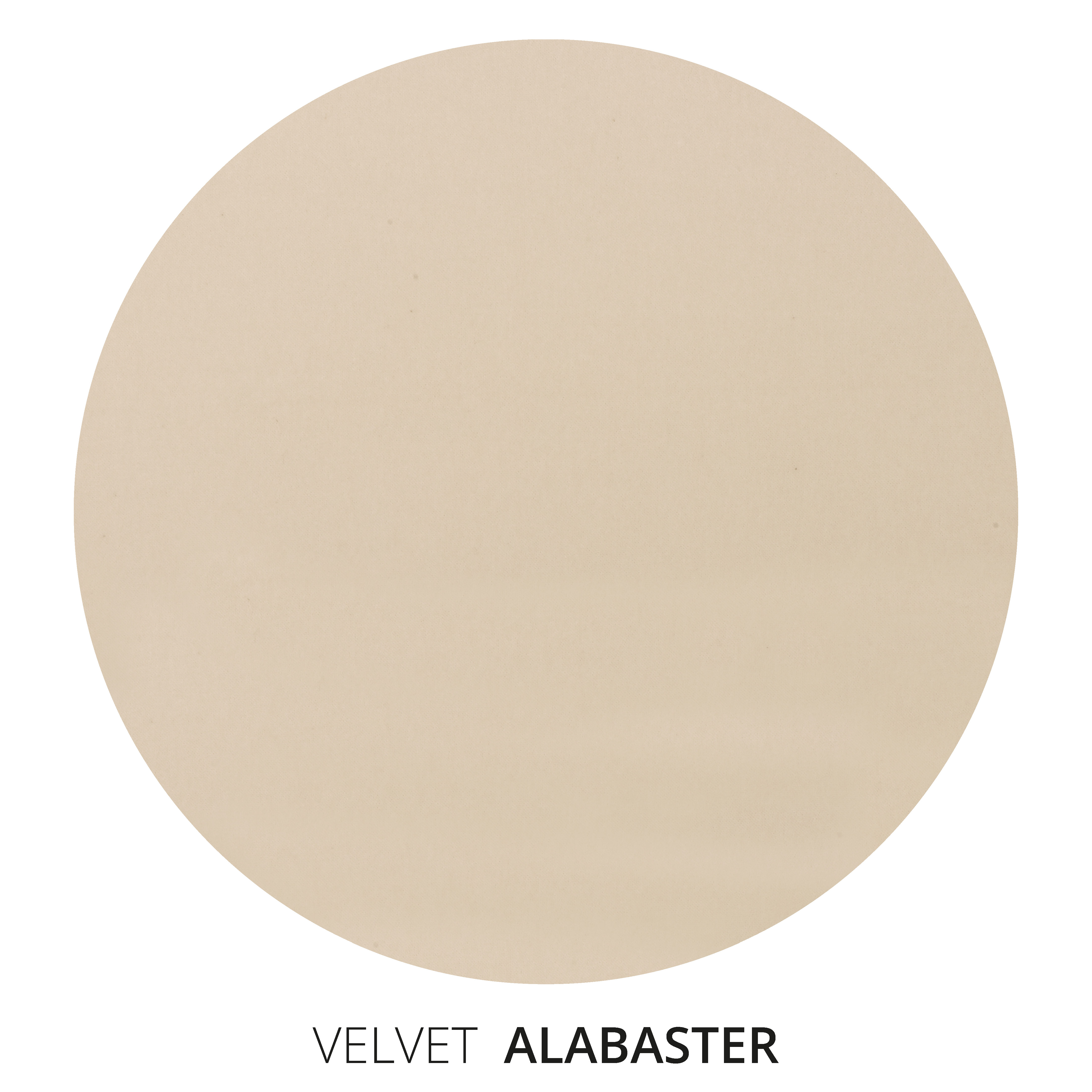 Alabaster Velvet Swatch