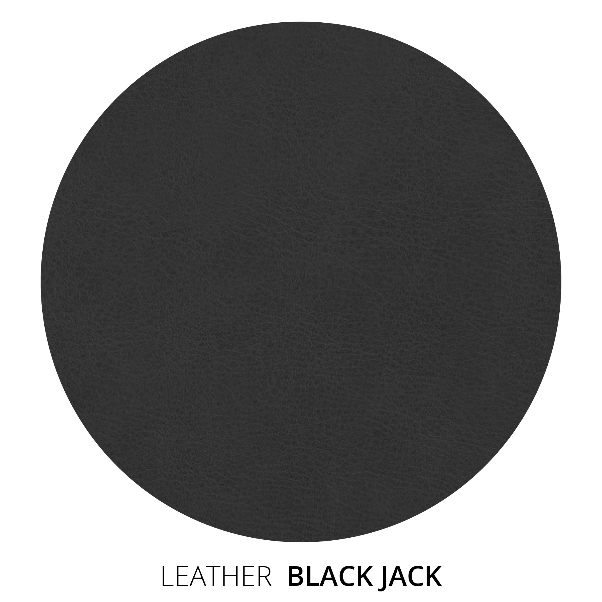 Black Jack Leather Swatch